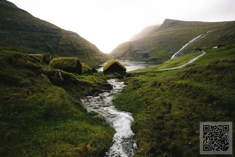 香港尚佳通有限公司