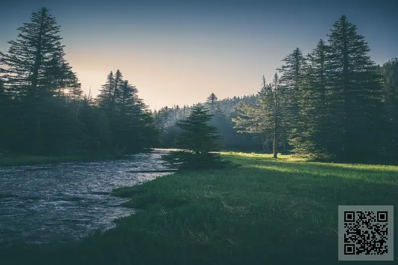 X-HONG INTERNATIONAL GROUP CO., LIMITED