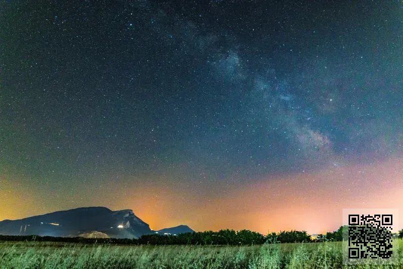 意大利蒂雅蘿貿易香港有限公司