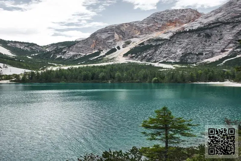 TRADERS LEADERS LIMITED