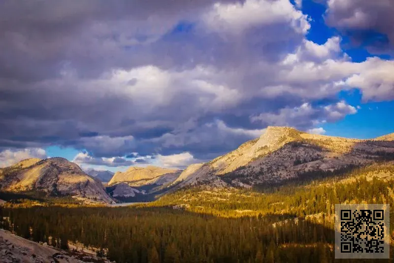 CMF Services Limited