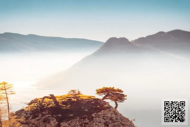 譽一國際有限公司