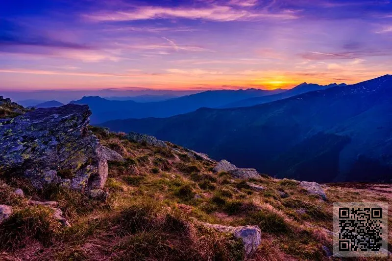 勤澤機械有限公司