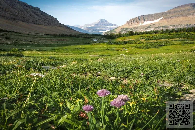 漢能集團有限公司
