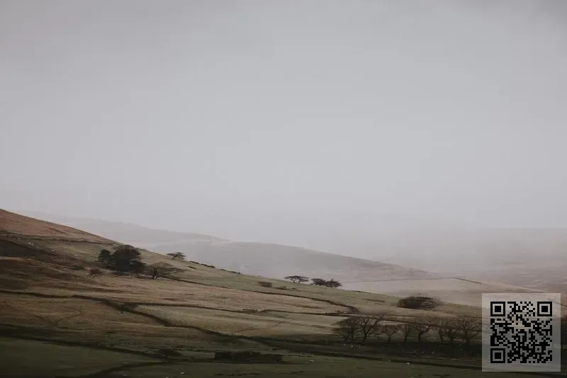 Goodgate Asia Limited