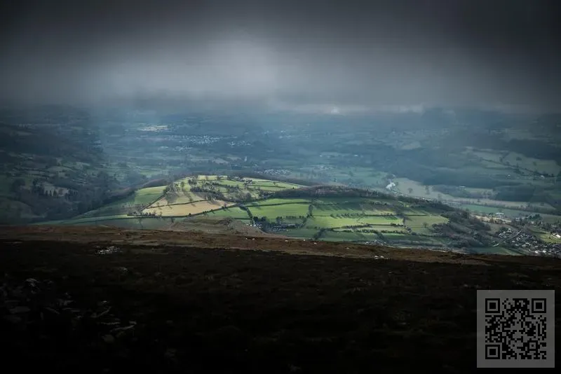 Digital Services Limited