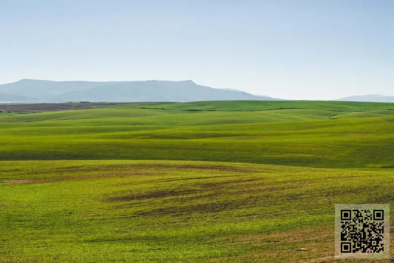 融信證券(香港)有限公司