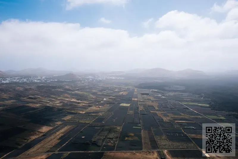 霓宏照明有限公司