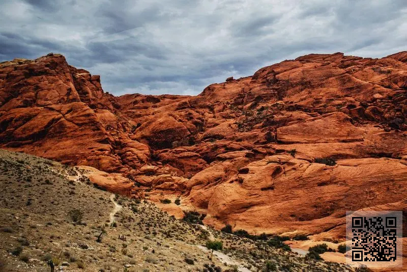 盛海通貿易有限公司