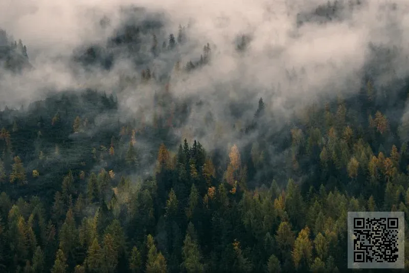 Immeri Nature Limited