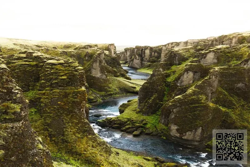 職商互聯有限公司