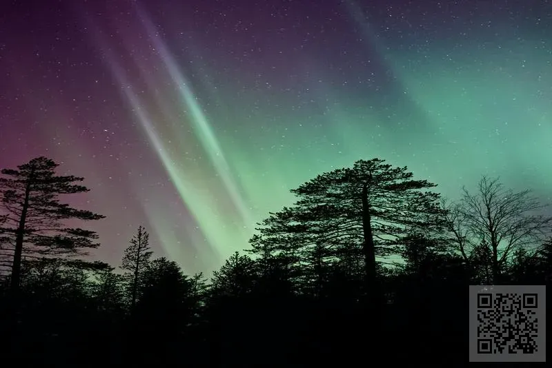 Asia World Alliance Group Limited