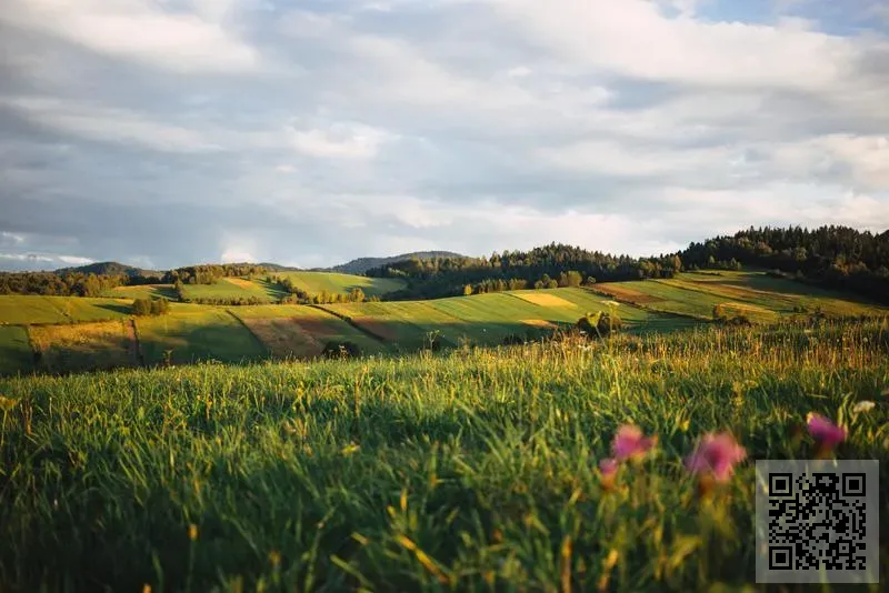 香港騰達國際有限公司