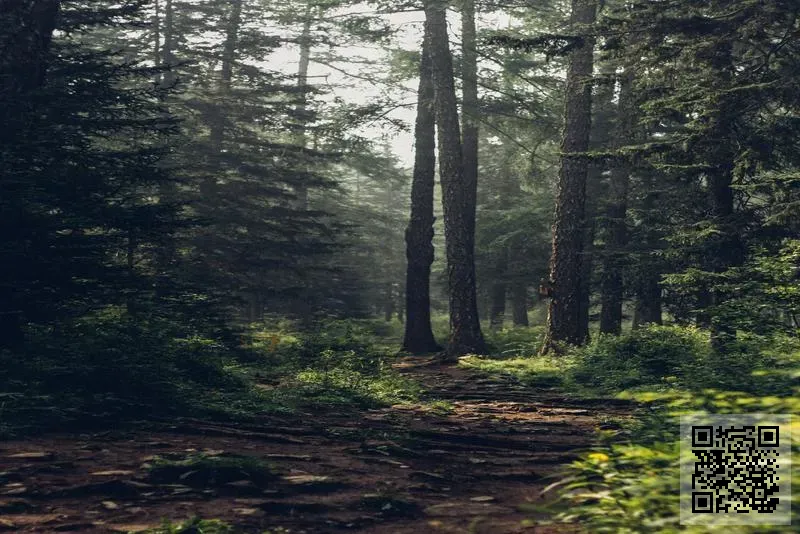 久富投資有限公司