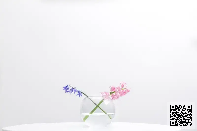 Ascona Trading Limited