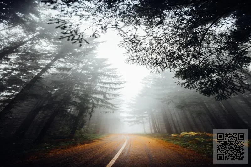 鐵路投資(中國)有限公司