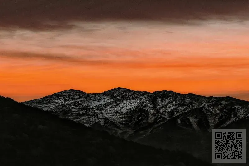 世富國際(香港)投資管理股份有限公司