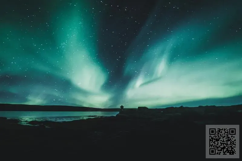香港英芙食品有限公司
