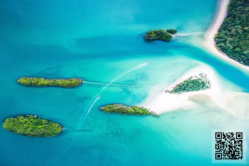 千旺控股有限公司