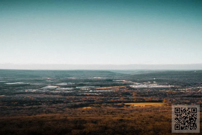 斯迪舶推進系統(中國)銷售有限公司