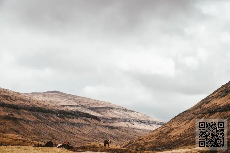 森嘉貿易有限公司