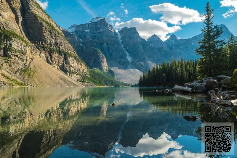 紮客科技有限公司