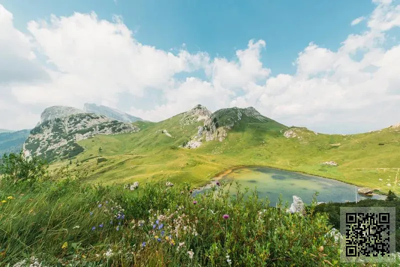 致銘貿易有限公司