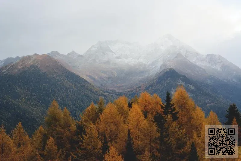 盈滿旅運有限公司