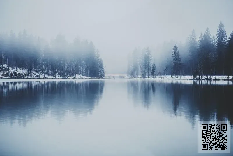 情聖一號商貿有限公司