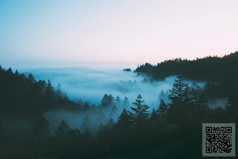 盛光光電科技有限公司