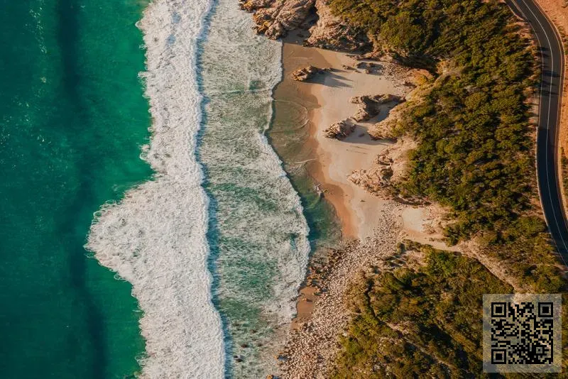 VIOLETTA CO., LIMITED