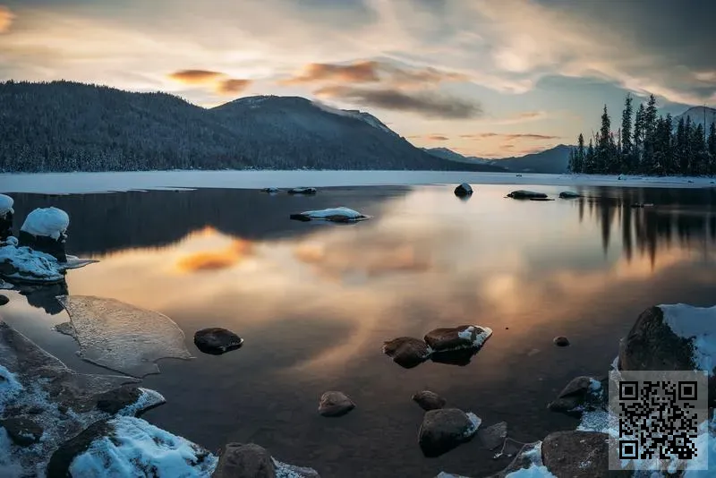 太陽星實業控股有限公司