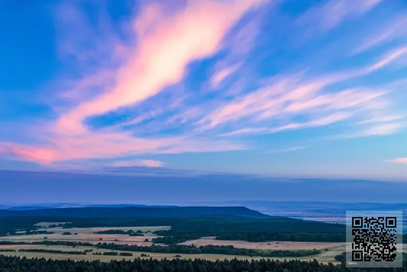 思諾國際貿易(香港)有限公司