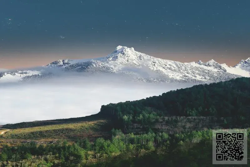 科陸貿易有限公司