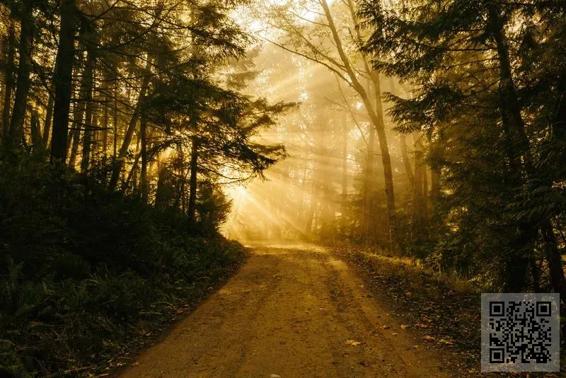 ALLICDATA ELECTRONICS LIMITED