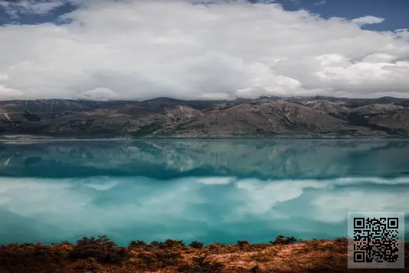 Beauty it Company Limited