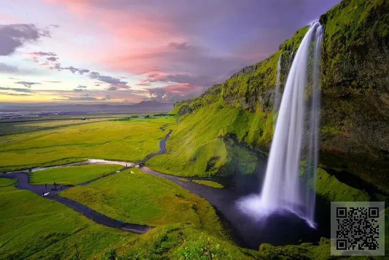 金誠國際投資有限公司