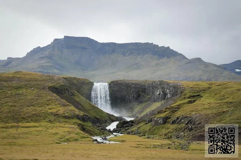 萬棋國際有限公司