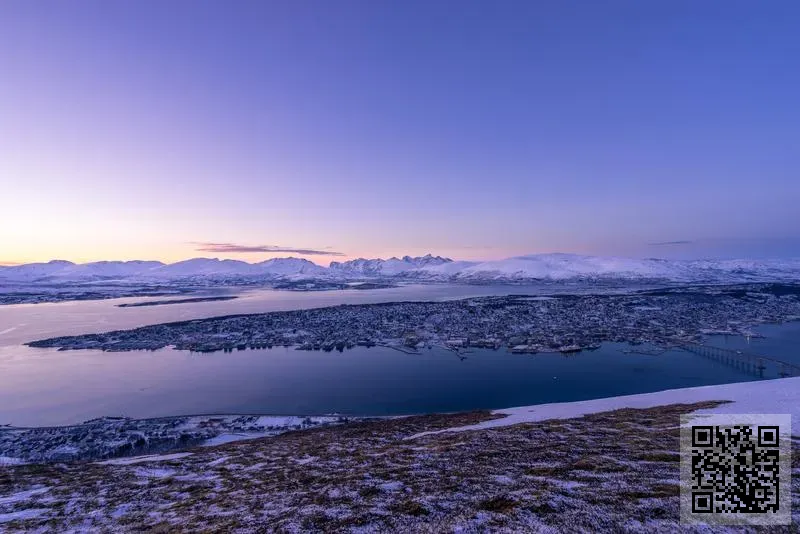偉恒昌紡織有限公司