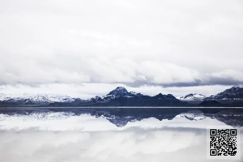 力圖(世紀)實業有限公司