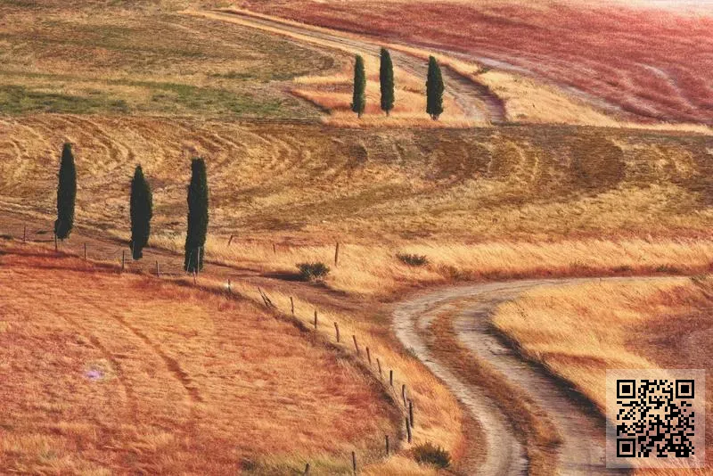 香港芯通集團有限公司