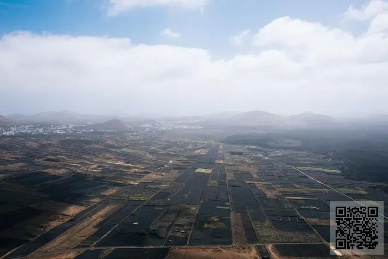 新高能源科技香港有限公司