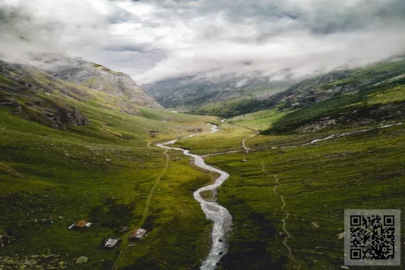 達琪(香港)有限公司