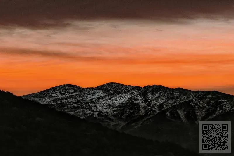 香港柯靈瑞思國際有限公司