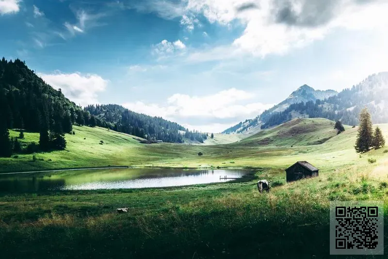 GreenSpace International Limited