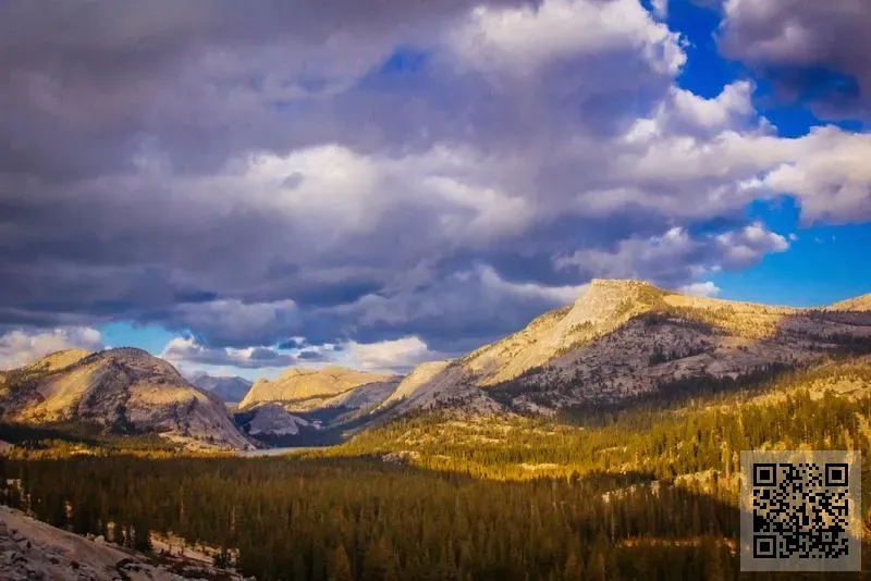 ZHM TRADING CO., LIMITED