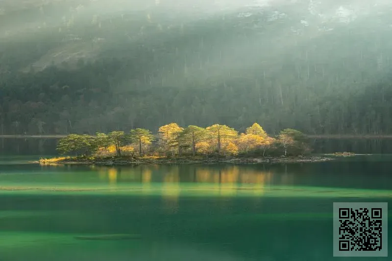 灣流電子科技有限公司