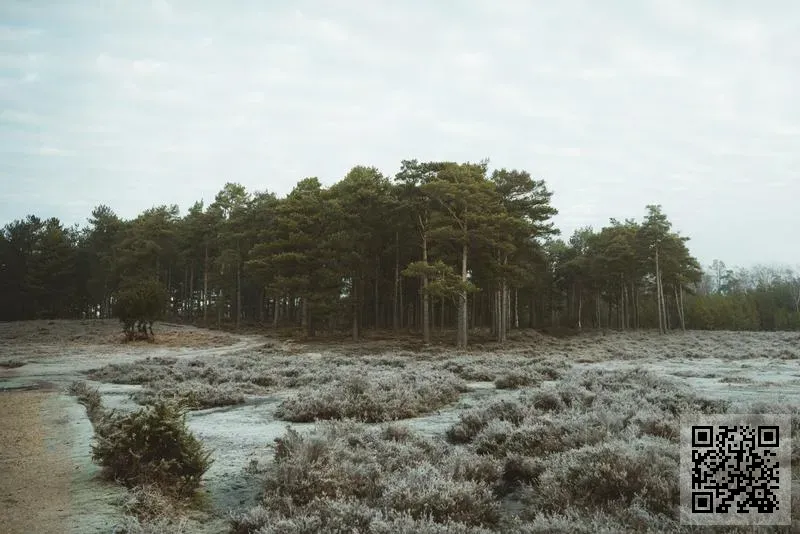 滿屋世界國際有限公司