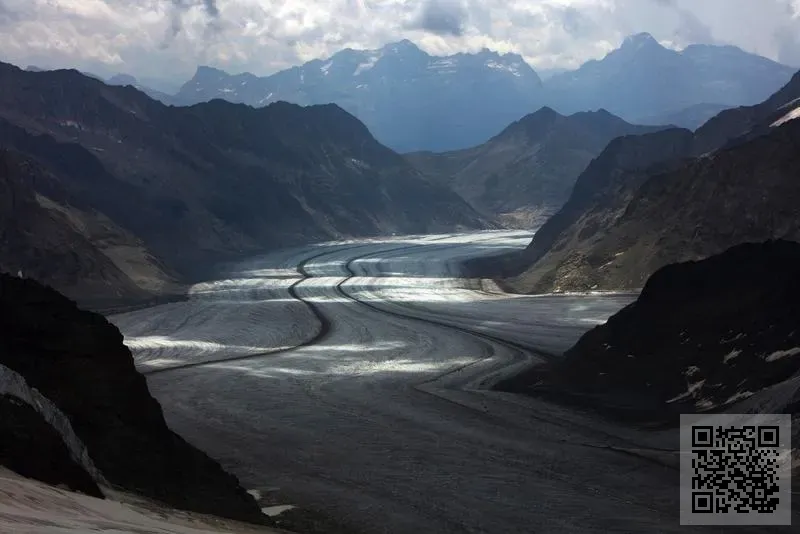 雅仕家園有限公司