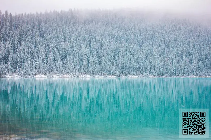 香港永利源貿易有限公司